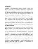 Análisis Coyuntural de la Economía Mexicana