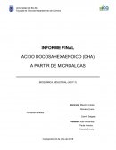 Acido docosahexaenoico (DHA) a partir de microalgas