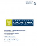Psicogénesis y Aprendizaje Significativo Doctorado en Educación