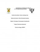 ENTREVISTA ADOLESCENTE. Psicología y Psicoterapia del adolescente
