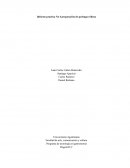 Informe practica No 4 preparación de pechuga rellena