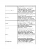 PERFIL DE CONSUMIDOR