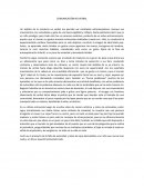 Un análisis de la conducta no verbal