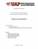 Facultades de la Administracion Aduanera Peru