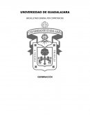 Cuidados del frijol distintas condiciones