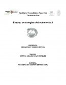 Ensayo estrategias del océano azul