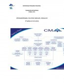 ORGANIGRAMA COLEGIO MIGUEL HIDALGO (Fuertes en la lucha)