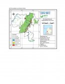 APTITUD MEDIA CULTIVO DE PAPA