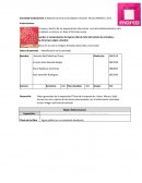 Actividad fundamental reporte de lectura de objetos visuales- Museo Marco u otro