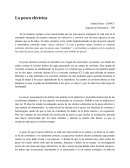 La pesca eléctrica