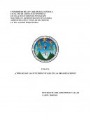 Cómo se dan las funciones vitales en las organizaciones