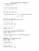 PRACTICA DE MATRICES Y DETERMINANTES
