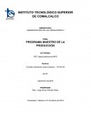PROGRAMA MAESTRO DE LA PRODUCCIÓN