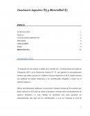 Cuestionario Impositivo (D) y Materialidad (E)