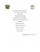 Reporte de trabajo de campo. Ámbito educativo y el proceso grupal