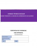 PORTAFOLIO DE EVIDENCIAS FASE INTENSIVA CICLO ESCOLAR 2018-2019