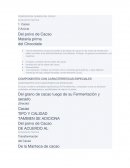 Componentes quimicos de un chocolate