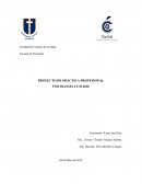 PROYECTO DE PRÁCTICA PROFESIONAL PSICOLOGÍA UCM 2018