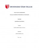 INFORME ANAMNESIS PSICOLÓGICA