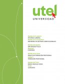 ENSAYO MI FORMACIÓN PROFESIONAL