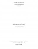 De Los procedimientos que se deben tener en cuenta en una empresa