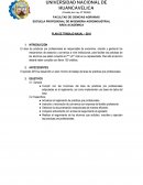 PLAN DE TRABAJO ANUAL – 2019