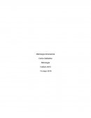 Metrología dimensional