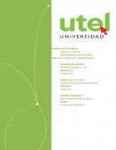 Creación de mi perfil profesional