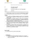 INFORME PLAN ANUAL I.E.I N° 541 “DIVINO NIÑO”