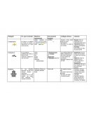Cuadro Comparativo Cristianismo Hinduismo