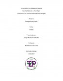 El Aceleramiento de una Vida Demasiado Ocupada