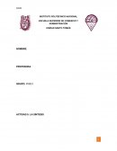 Actividad 9. Instituto Politecnico Nacional. La Síntesis