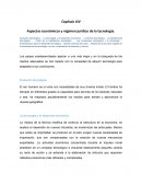 Aspectos económicos y régimen jurídico de la tecnología