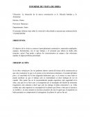 GUIA INFORME DE VISITA A OBRA