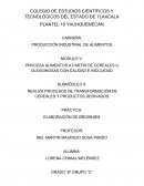 PROCESA ALIMENTOS A PARTIR DE CEREALES U OLEAGINOSAS CON CALIDAD E INOCUIDAD
