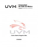 Actividad 4 Avance 1 Proyecto Integrador Materia: Control de Calidad