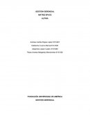 GESTIÓN GERENCIAL MATRIZ SPACE ALPINA