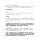 INTERPRETACION RUEDA DE LA VIDA