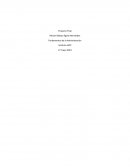 Fundamentos de la administracion