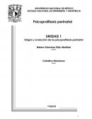 La profilaxis perinatal es una analgesia verba