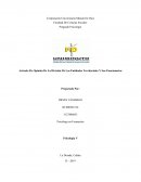 Actividad Artículo de opinión de la división de las entidades territoriales y sus funcionarios