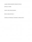 EVIDENCIA DE APRENDIZAJE: DEFINIENDO EL MERCADO META. Leche LALA