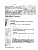 TERMINOS IMPORTANTES EN LA PERSPECTIVA