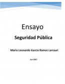 Seguridad Publica. Proyecto Estratégico: “Unidad de análisis y estadística.”