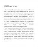 INFORME ESTABILIDAD DE TALUDES