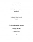 Sistema de gobierno mexico