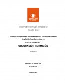 SISTEMA DE GESTIÓN DE PROYECTOS “COLOCACION DE HORMIGON”