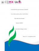 Evolución del México posrevolucionario al cardenismo