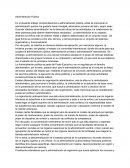 Administración Pública, Poder Ejecutivo