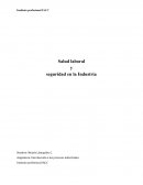 Salud laboral y seguridad en la Industria. Asignatura: Introducción a los procesos industriales